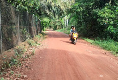 Jalan Mulus Mirip di Aspal