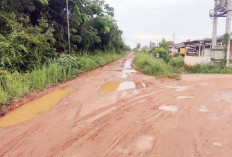 Akses Jalan Bumara Regency 2 Licin dan Berlubang Besar