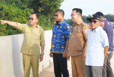 Tinjau Update Progress Hilirisasi Sungai Boom