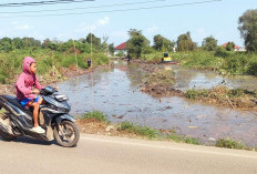 Eskapator Air Bersihkan Kawasan Rawa-Rawa