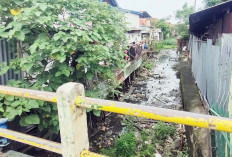 Jerambah di Kawasan Kertapati Ditumbuhi Tanaman Liar