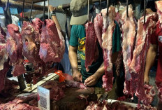 BPS Catat 25 Provinsi Alami  Kenaikan IPH Dipicu Cabai Dan Daging   