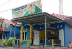 Kolaborasi Nasional Perkuat Sukses Program Apotek Desa    