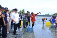 Gubernur Motivasi Petambak Tingkatkan Produksi dan Daya Saing, Produksi Udang Sungai Menang Capai 15 Ribu Ton 