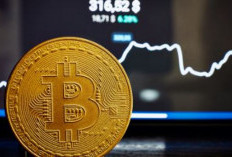 Harga Bitcoin Hari Ini Terjun, Investor Jangan Khawatir, Pelaku Kripto Beberkan Alasan Ini