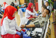 Terkumpul 300 Kantong Darah, Aksi Donor Darah Pekerja Kilang Pertamina Plaju