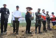 Cetak Sawah Sungai Dua, Herman Deru Dorong Petani Banyuasin Percepat Tanam