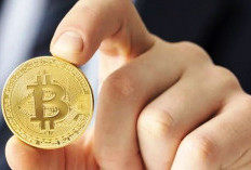 Investasi Kripto: Panduan untuk Pemula