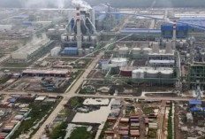  Industri Kertas Jadi Penopang Utama Investasi Sumsel