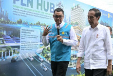  Presiden Jokowi Tandai Pembangunan PLN Hub
