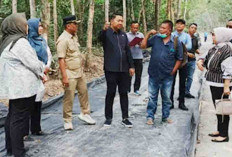 Viral, Komisi III Sidak Pembangunan Jalan di Talang Bernai