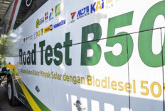 B50 Sah Berlaku 1 Juli,  Pemerintah Jamin Stok Minyak Goreng Aman!