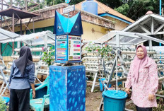 Pemdes Lebak Budi Sulap Lahan Kosong jadi Taman Hidroponik