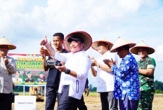 Program Nasional Cetak Sawah, Muba Dapat Amanah 6.100 Ha