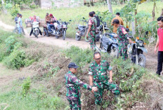 Dandim 0426 Tinjau Langsung Kesiapan Lokasi TMMD ke-125 di Tulang Bawang
