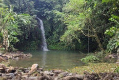 Tingkatkan Pariwisata dan UMKM di Desa Air Sempiang, PLN Buka Peluang Baru untuk Dorong Ekonomi Lokal