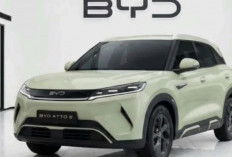 SUV Listrik Kompak Rp200 Jutaan: BYD Atto 2 Segera Mengaspal di Indonesia