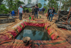  SKK Migas Sebut  Mulai 1 Agustus 2025 Minyak dari Sumur Rakyat Bisa Dijual ke Pertamina