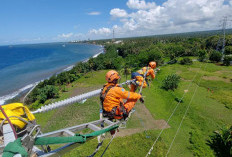 PLN Jadi Perusahaan Energi Terbaik