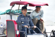 Petani di OKI Bisa Panen Tiga Kali Setahun