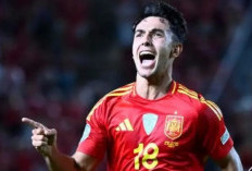 Gol Martin Zubimendi Menangkan Spanyol atas Denmark