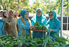 TP PKK Sumsel Ajak Warga PALI Wujudkan Kemandirian Pangan
