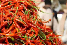 Harga Cabai Tak Lagi Pedas, Tren Penurunan Terjadi Pasca Lebaran