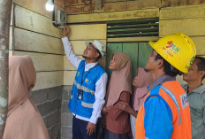 PLN Sukses Realisasikan PMN Nyalakan 24 Jam Listrik di Wilayah 3T Riau