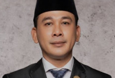 Dewan Apresiasi Perombakan di BUMD