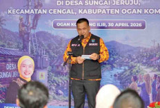 PLN Alirkan Listrik 24 Jam ke Dusun Terpencil di Cengal, OKI