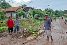 Jalan Rusak Penghubung Payaraman–Betung di Tanami Warga 