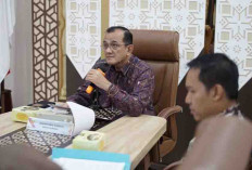 Pemprov Sumsel Dukung Penggunaan Kendaraan Listrik