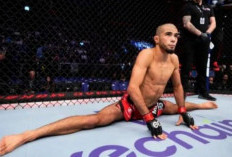 Petarung tak terkalahkan Muhammad Mokaev dipecat dari UFC