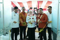 Askolani: Banyuasin Konsisten Ciptakan Investasi Bersih dan Transparan