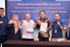 Per 1 Januari 2025, Pupuk Indonesia Salurkan Pupuk Bersubsidi