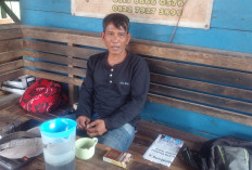 Bisnis Jual Beli Kayu Tak Pernah Merasa Disaingi