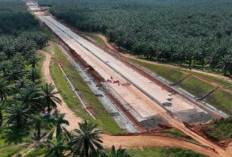 Progres Tol Betung–Jambi: Hutama Karya Percepat Konektivitas Logistik Sumsel–Riau