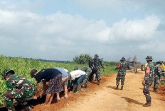 Semangat Satgas TMMD 121 Kodim 0430/BA Genjot pembangunan Fisik jalan Bersama Warga