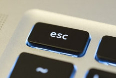 Jarang Disentuh! Ini Deretan Fungsi Tersembunyi Tombol 'Esc' di Keyboard Laptop yang Wajib Kamu Tahu