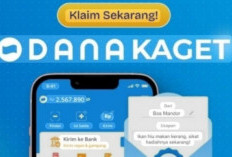 Santai dirumah! Kamu Dapat Saldo DANA Gratis Rp559.000 dari Aplikasi JadiDuit Malam ini, Cek E-Wallet Segera