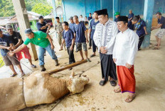 Momen Berkah Idul Adha yang Penuh Makna