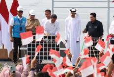 Presiden Jokowi Resmikan PLTS Terapung Cirata 192 MWp