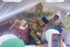 Peringati HKN ke-60, Dinkes PALI Gelar Pameran Kesehatan