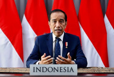 Jokowi Sebut Hilirisasi Rumput Laut Kekuatan Ekonomi Ri Di Masa Depan