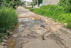 Lubang Jalan Semakin Membesar