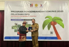 JANGAN KAGET! Ini Jurus Jitu Petani Sawit Sumsel Biar Harga TBS Naik!