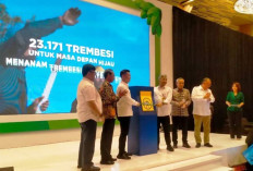 Inisiatif Hijau BLDF, 23 Ribu Pohon Trembesi Tumbuh Subur di Trans Sumatera