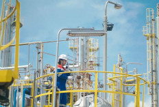 Komitmen Lingkungan Kilang Pertamina Plaju Kembali Raih PROPER Emas 2024