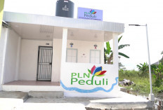 Borong 3 Penghargaan Platinum IGA 2026, PLN UIP Sumbagsel Perkuat Dominasi di Bidang Keberlanjutan Lingkungan