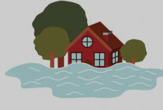 INFO POTENSI BANJIR : BMKG Kasih Peringatan  di Wilayah RI Juni 2025, Ini Lokasinya